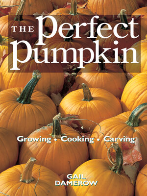 cover image of The Perfect Pumpkin